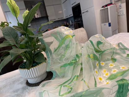 Whispers of wild daisies-Handpainted Organza dupatta